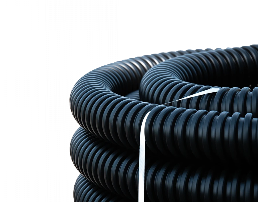 110610-00111 110610-00111